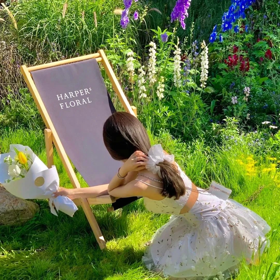 别惹猫咪：追捕虐猫者