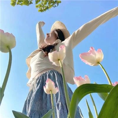 曾是惊鸿照影来