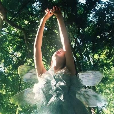 我与梦露的一周